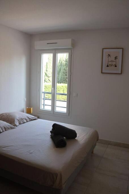Suberbe Appartement Climatise Avec Terrasse Saint-Raphaël Zewnętrze zdjęcie